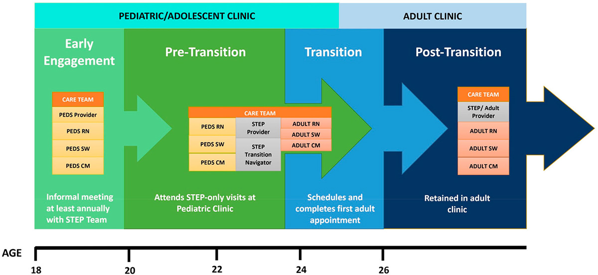 Figure shows the steps taken, from early engagement to pre-transition to transition to post-transition